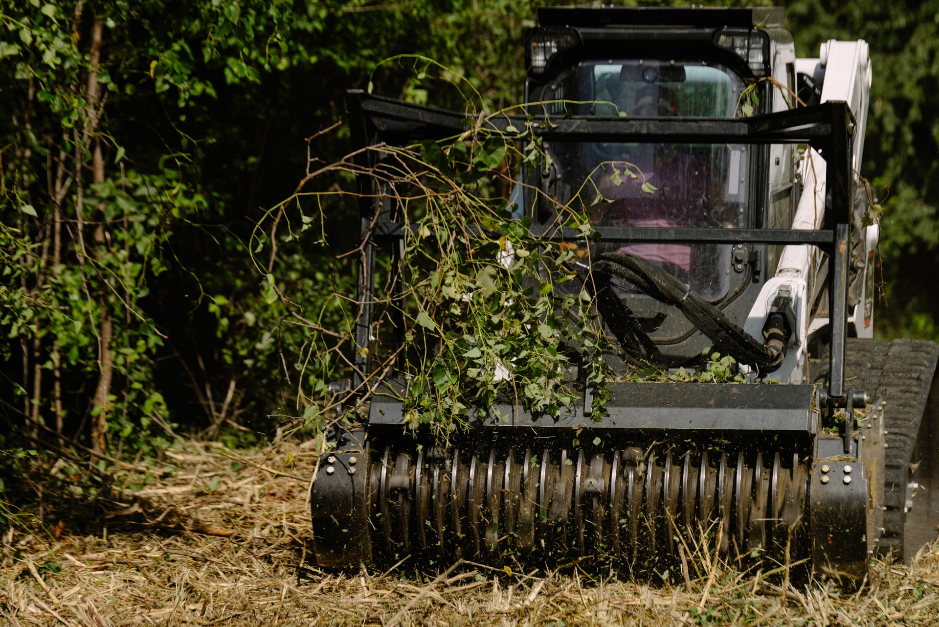 Forestry mulching head clearing dense cedar and brush on rural acreage