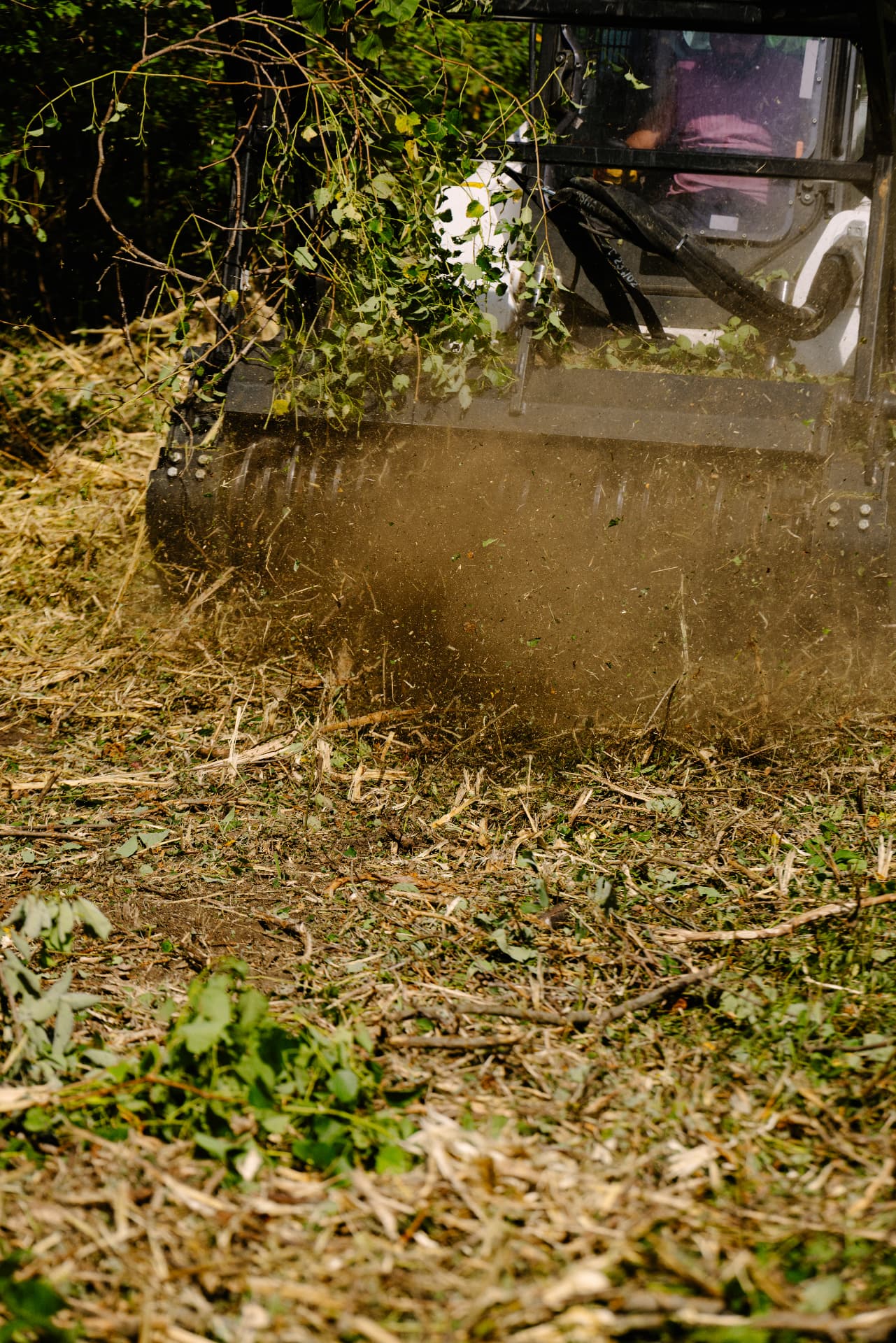 Forestry mulcher in action, processing brush into mulch on-site