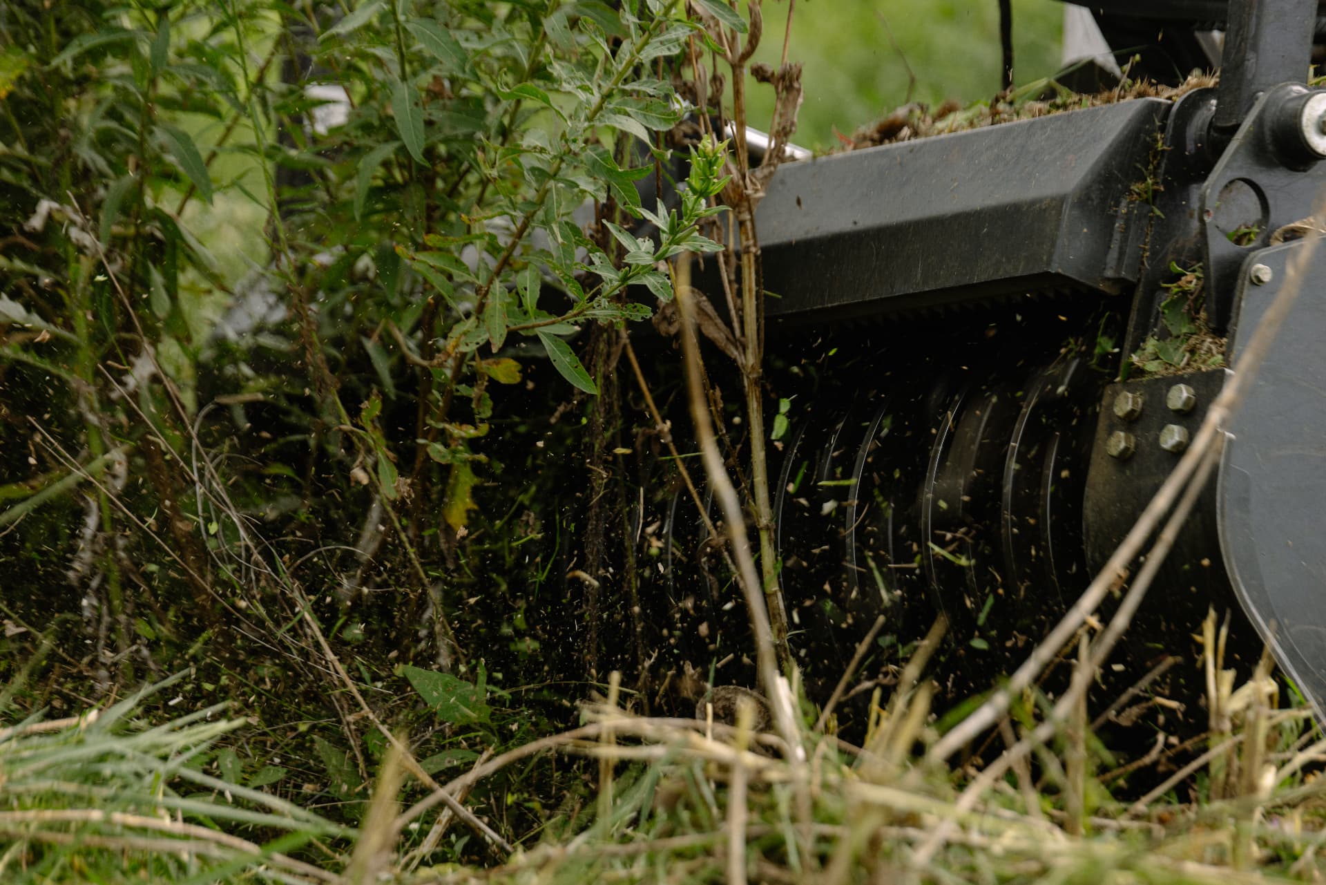 Forestry mulcher head grinding through thick brush and saplings