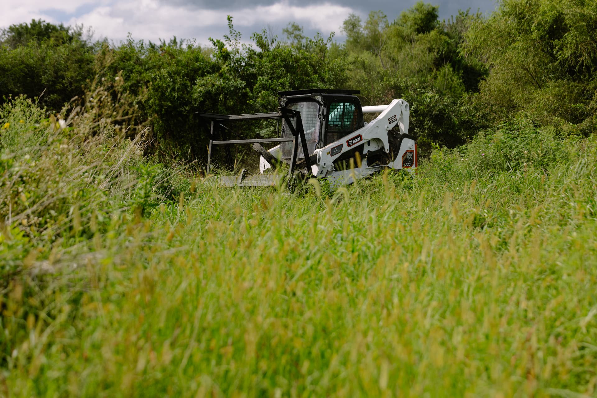 Skid steer clearing brush and vegetation to prepare a food plot in tall grass