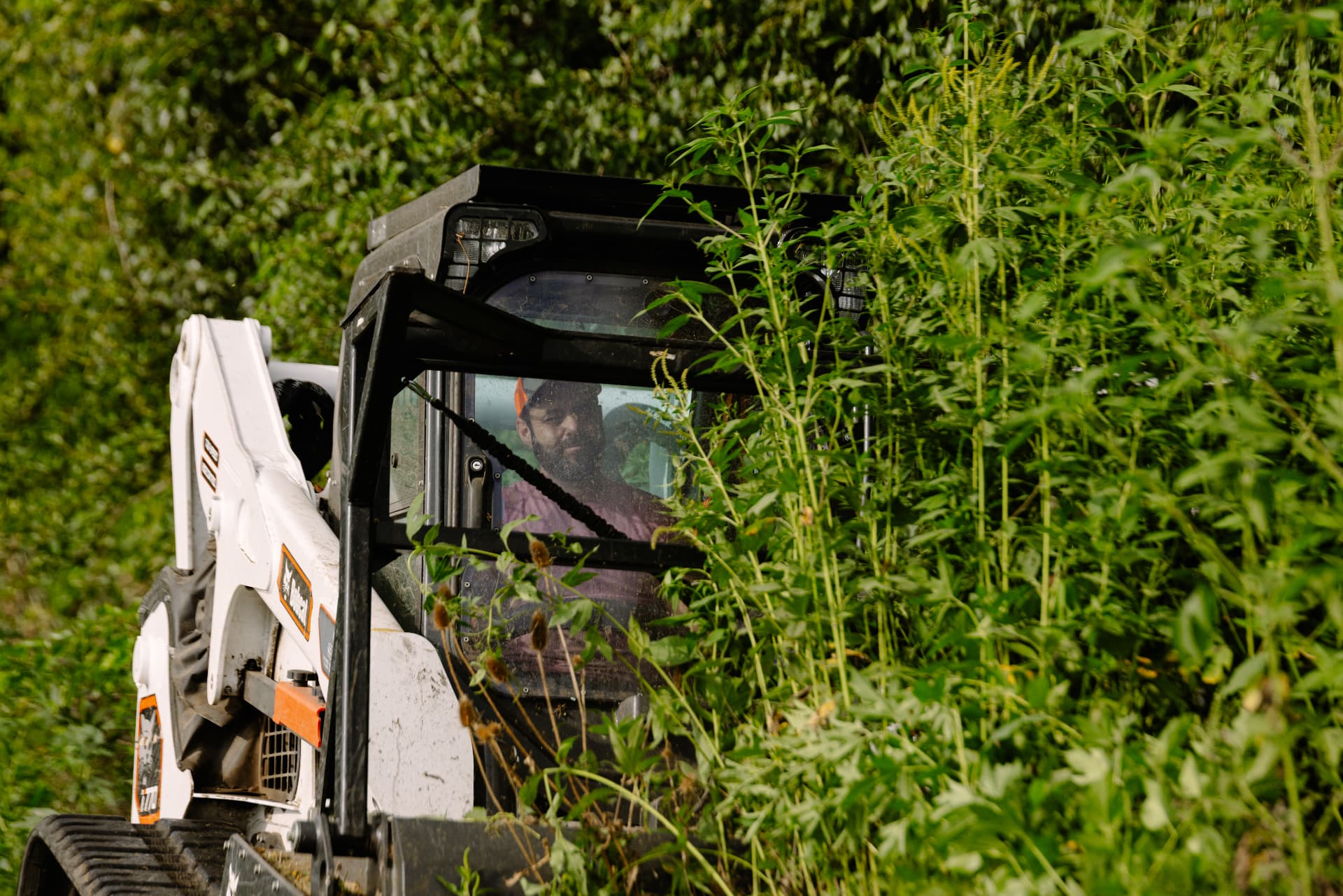 Bobcat T770 skid steer working through dense brush and heavy vegetation