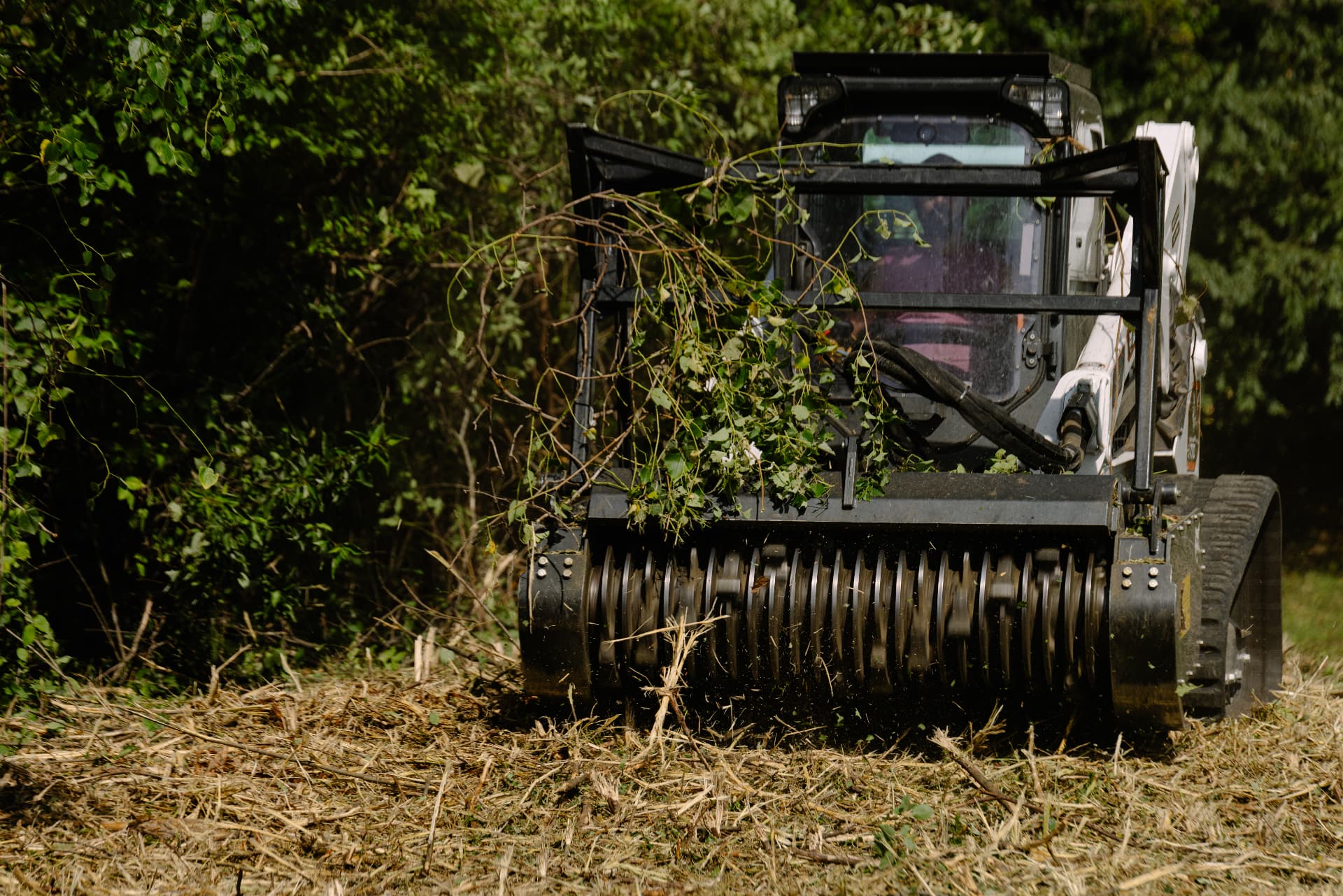 Forestry mulching head cutting and processing brush and saplings on-site