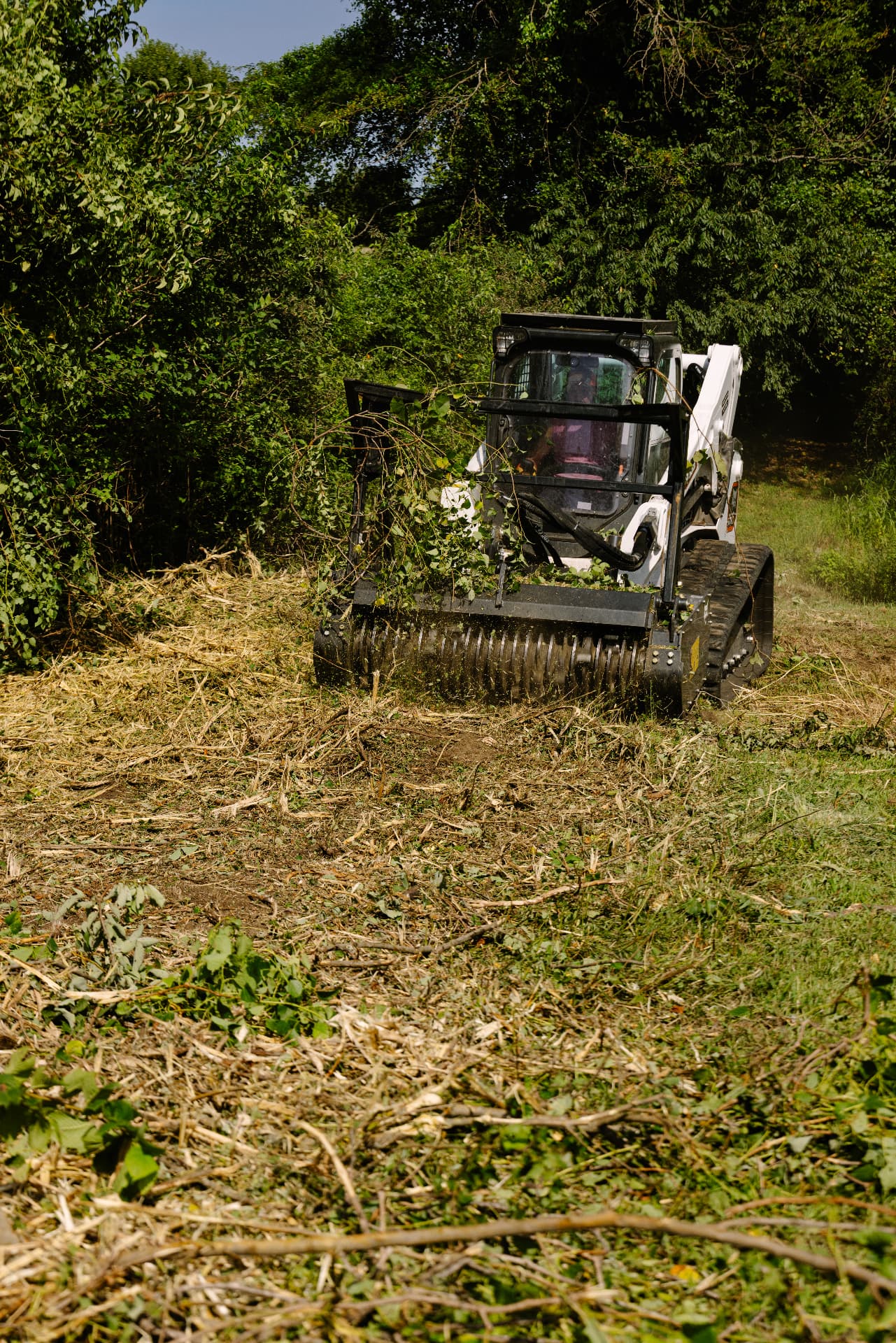 Forestry mulcher head grinding through dense brush and saplings
