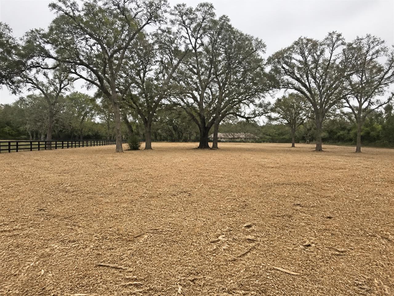Same rural property after forestry mulching, with open mulched ground and preserved mature trees